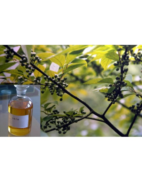 Eucalyptus oil ευκαλυπτέλαιο 100ml