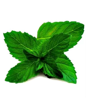 Τεχνητό Αιθέριο έλαιο Μέντα - Peppermint 100ml