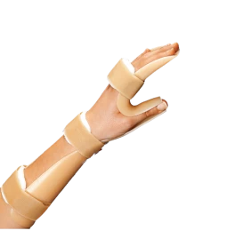 Image 1 (thumb)