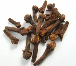 Image 1 (thumb)